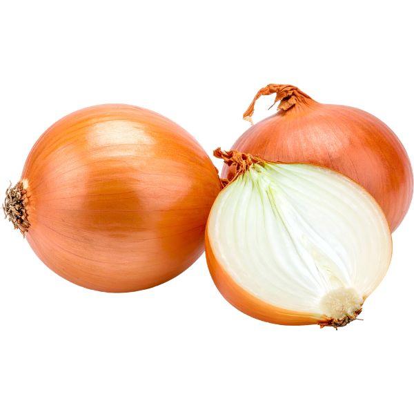 Onion